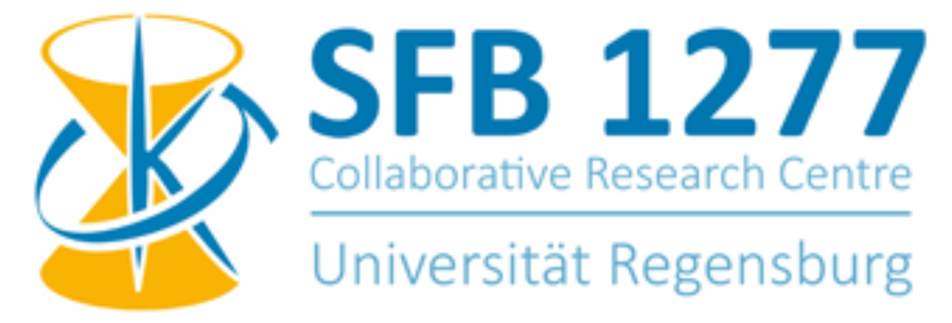International Workshop on Emergent Relativistic Effects in Condensed Matter