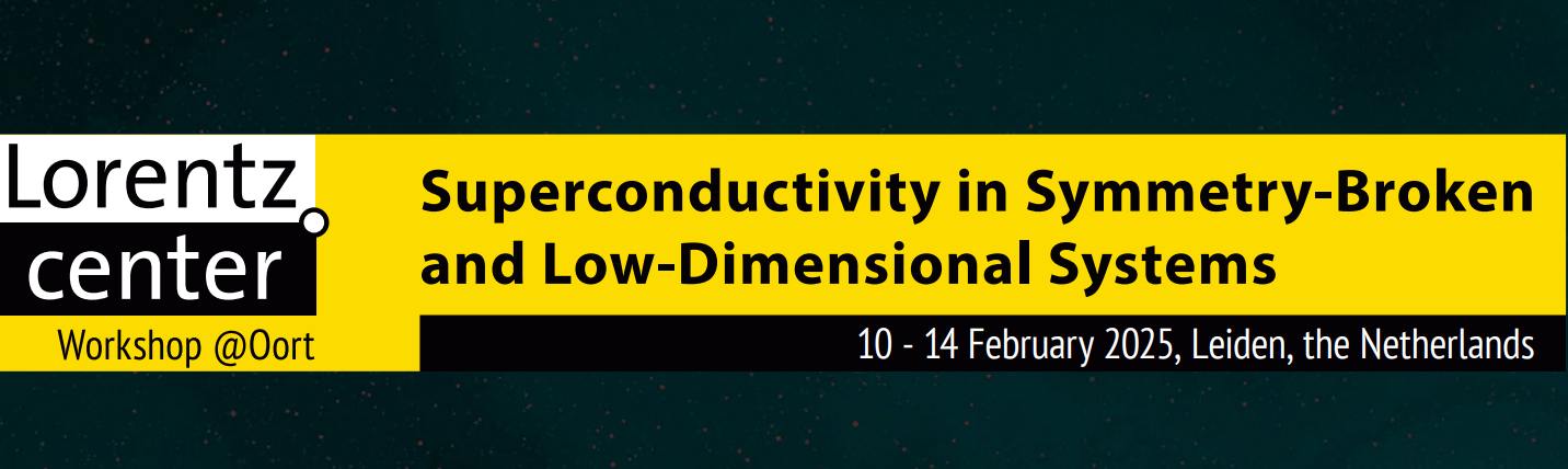 Workshop on “Superconductivity in symmetry-broken and low-dimensional systems” 